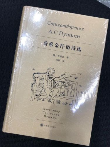 孤独的普希金阅读答案(孤独的普希金原文)-第2张图片-