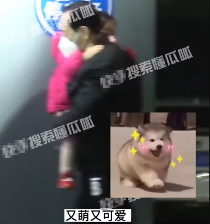 唐嫣父亲抱孙女探望舅妈黄曦宁，3岁小小糖呆萌可爱，着急见妹妹