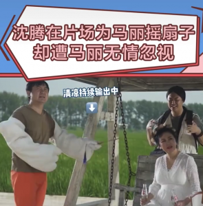 ​是“真爱”！40岁沈腾热到满头大汗仍为马丽扇风，却被无情忽视