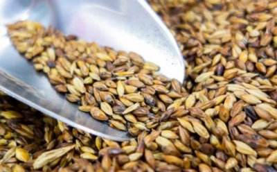 ​肠胃消化不良多吃山楂助消化 消化不良患者饮食禁忌