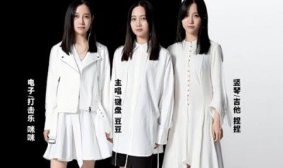 ​福禄寿乐队成员杜雪儿获刑1年道歉 具体咋回事详情介绍