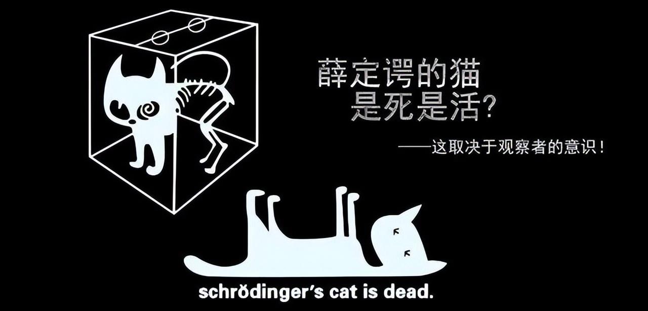 薛定谔的猫用来比喻什么(薛定谔的猫用来讽刺什么)