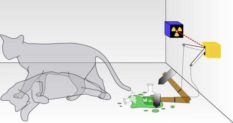 薛定谔的猫用来比喻什么(薛定谔的猫用来讽刺什么)