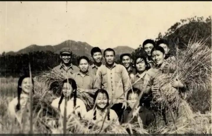 生产队的驴都不敢这么休息(生产队的驴都不敢这么歇)