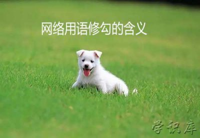 ​修勾是什么意思(网络用语修勾的含义)