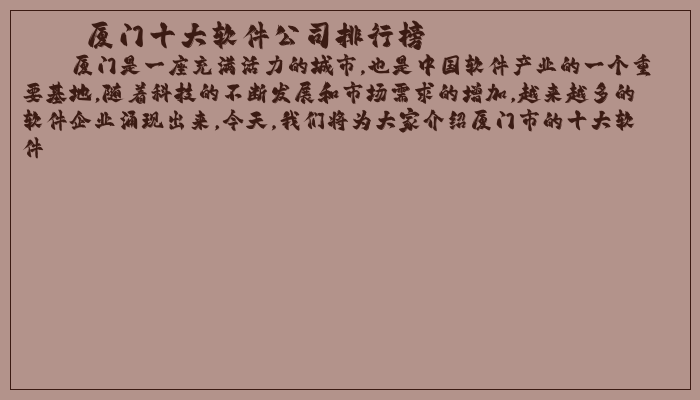 厦门十大软件公司排行榜