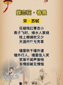 ​蝶恋花苏轼花褪残红青杏小(蝶恋花苏轼拼音版)