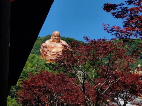 溪口雪窦山景区门票(溪口雪窦山名山建设管理委员会)-第1张图片-