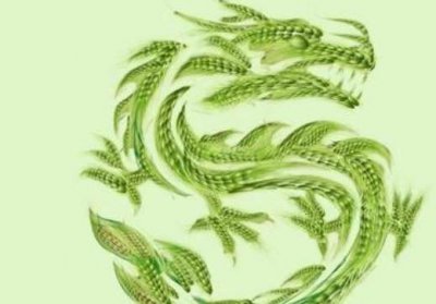 ​龙长什么样子（龙究竟有几个爪子？）