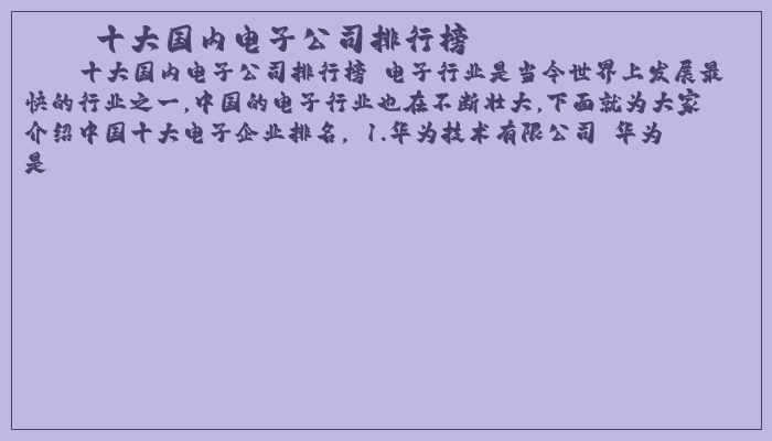 十大国内电子公司排行榜