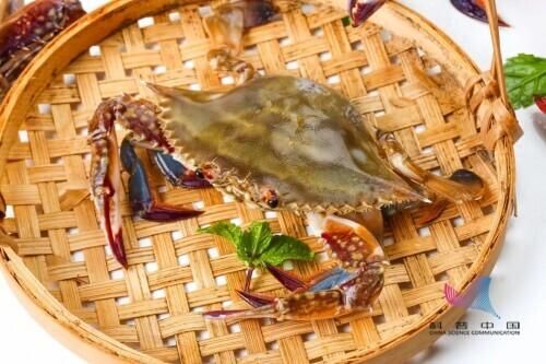 螃蟹死了能不能吃了会不会中毒(螃蟹死了能不能吃了 没多久)-第1张图片-