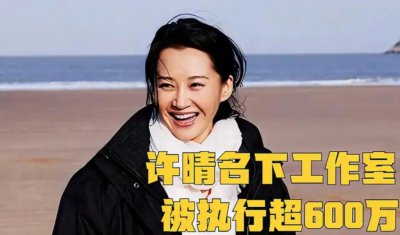 ​啥情况？许晴独资工作室被执行 624 万元，除此之外其余三家已注销
