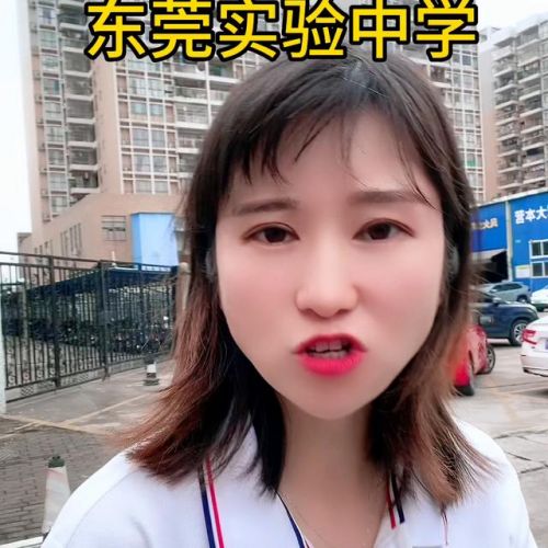 东莞市实验中学怎么样(东莞市实验中学本科率)-第2张图片-