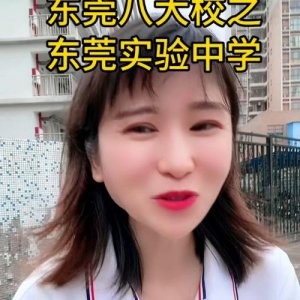 ​东莞市实验中学怎么样(东莞市实验中学本科率)