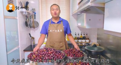 ​酿造葡萄酒的 *** (国外葡萄酒的酿制 *** )