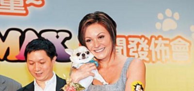 ​何厚华和赌王什么关系