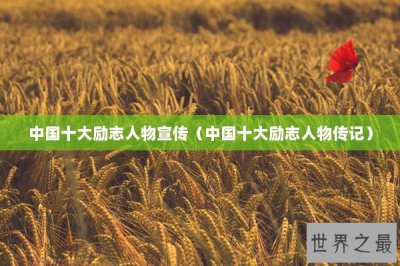 ​中国十大励志人物宣传（中国十大励志人物传记）