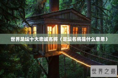​世界足坛十大忠诚名将（足坛名将是什么意思）