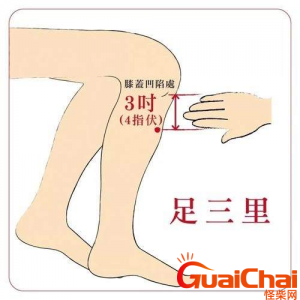 ​足三里的作用与好处是什么？足三里的功效是什么？
