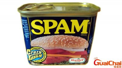 ​spam是什么意思？spam午餐肉