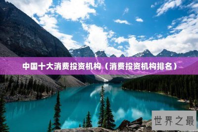 ​中国十大消费投资机构（消费投资机构排名）