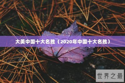 ​大美中国十大名胜（2020年中国十大名胜）
