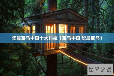 ​华晨宝马中国十大科技（宝马中国 华晨宝马）