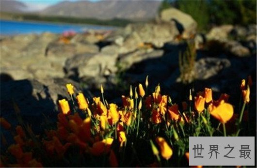 世界上最美丽的国家排行榜前十名，适合和恋人前去