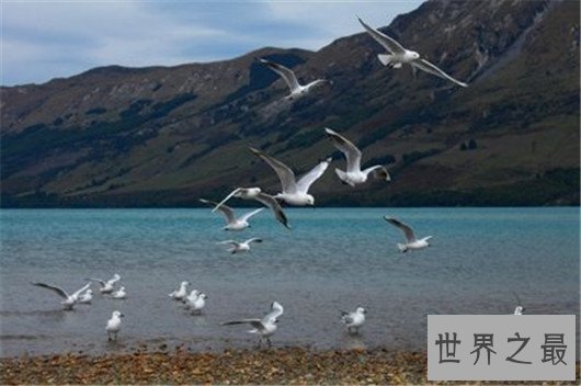 世界上最美丽的国家排行榜前十名，适合和恋人前去