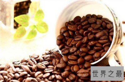 ​世界上最贵的10种咖啡，仅一磅就要350美元