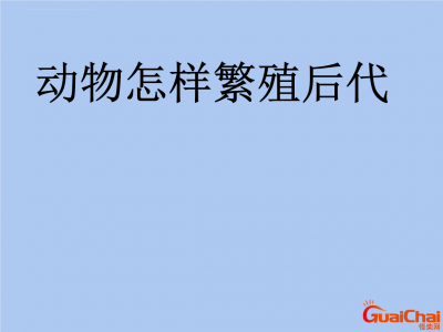 ​动物的繁殖方式有几种？动物的繁殖季节