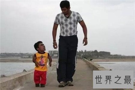 世界上最矮的人怎么可以这么矮，就连小猫小狗都会欺负他？