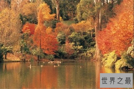 全球十大赏秋胜地，黄山的秋之美看了才知道