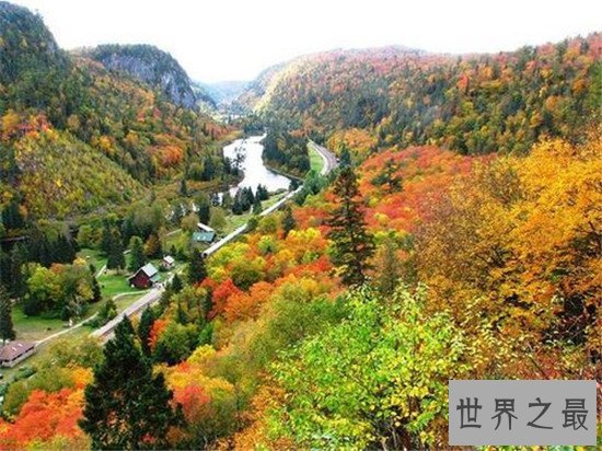 全球十大赏秋胜地，黄山的秋之美看了才知道