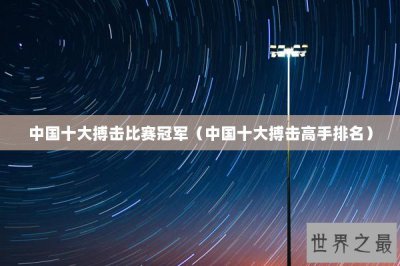 ​中国十大搏击比赛冠军（中国十大搏击高手排名）