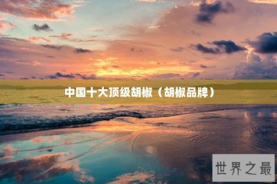 ​中国十大顶级胡椒（胡椒品牌）