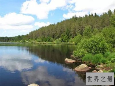 ​英国面积最大的林地森林排行榜，你听说过几个呢