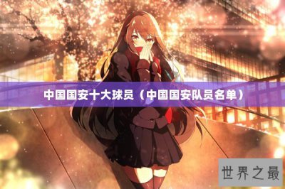 ​中国国安十大球员（中国国安队员名单）