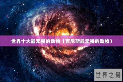 ​世界十大最无畏的动物（吉尼斯最无畏的动物）