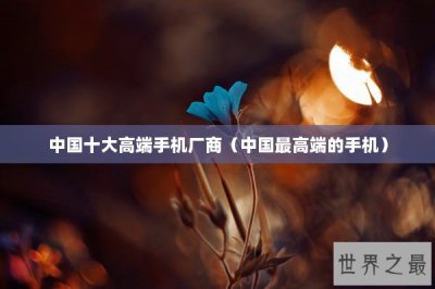 ​中国十大高端手机厂商（中国最高端的手机）