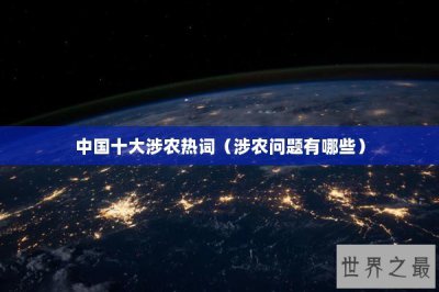 ​中国十大涉农热词（涉农问题有哪些）