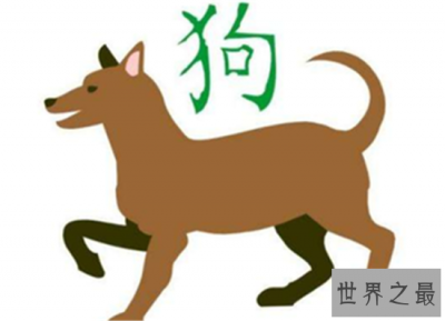 ​属狗的今年多大年龄才是时运最旺的年龄 属狗人桃花运为什么这么好