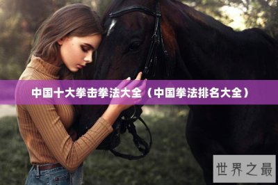 ​中国十大拳击拳法大全（中国拳法排名大全）
