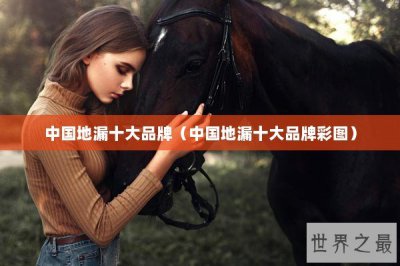​中国地漏十大品牌（中国地漏十大品牌彩图）