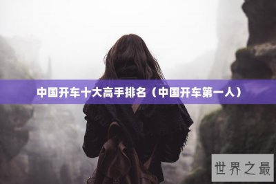 ​中国开车十大高手排名（中国开车第一人）