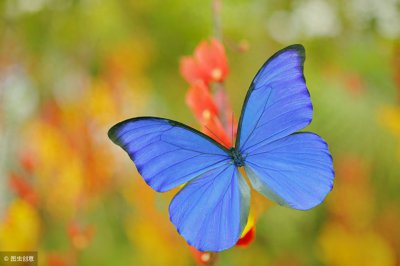 ​飞花令-花「100句带花字的古诗词，百花成密只为甜你」