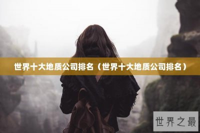 ​世界十大地质公司排名（世界十大地质公司排名）