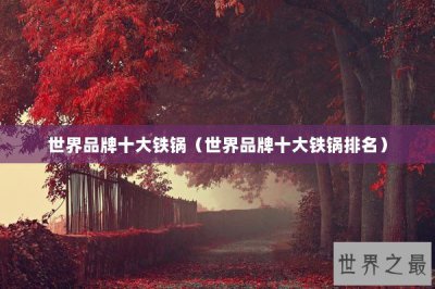 ​世界品牌十大铁锅（世界品牌十大铁锅排名）