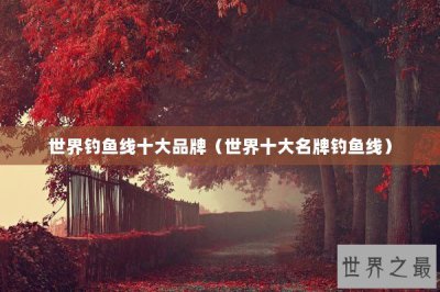 ​世界钓鱼线十大品牌（世界十大名牌钓鱼线）