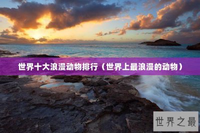 ​世界十大浪漫动物排行（世界上最浪漫的动物）